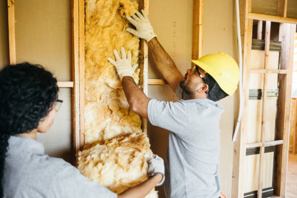 Best Crawl Space Insulation  in Lookout Mountain, GA